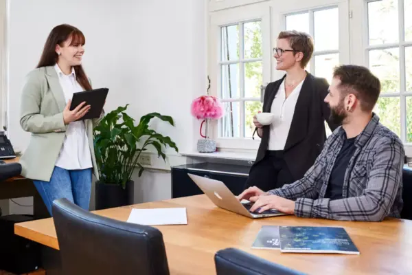 Brainsonteam im Besprechungsraum
